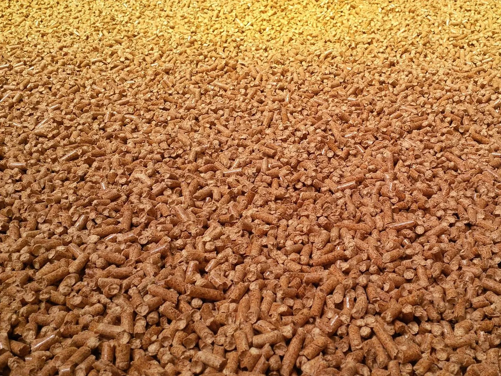 Foto indicativa